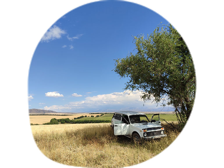 ActSustainably - Governing sustainable futures in Eurasian grasslands